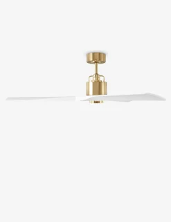 Vesa Ceiling Fan