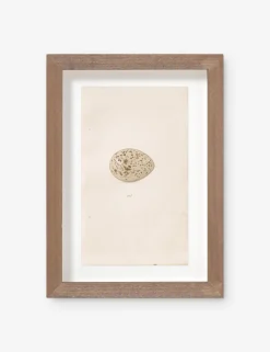 Vintage Bird Watercolor No. 305 Wall Art by Visual Contrast