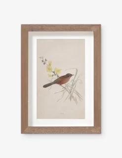 Vintage Bird Watercolor No. 69 Wall Art by Visual Contrast
