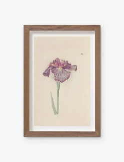 Vintage Japanese Iris No. 28 Wall Art by Miyoshi Manabu