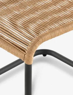 Wally Indoor / Outdoor Dining Chair