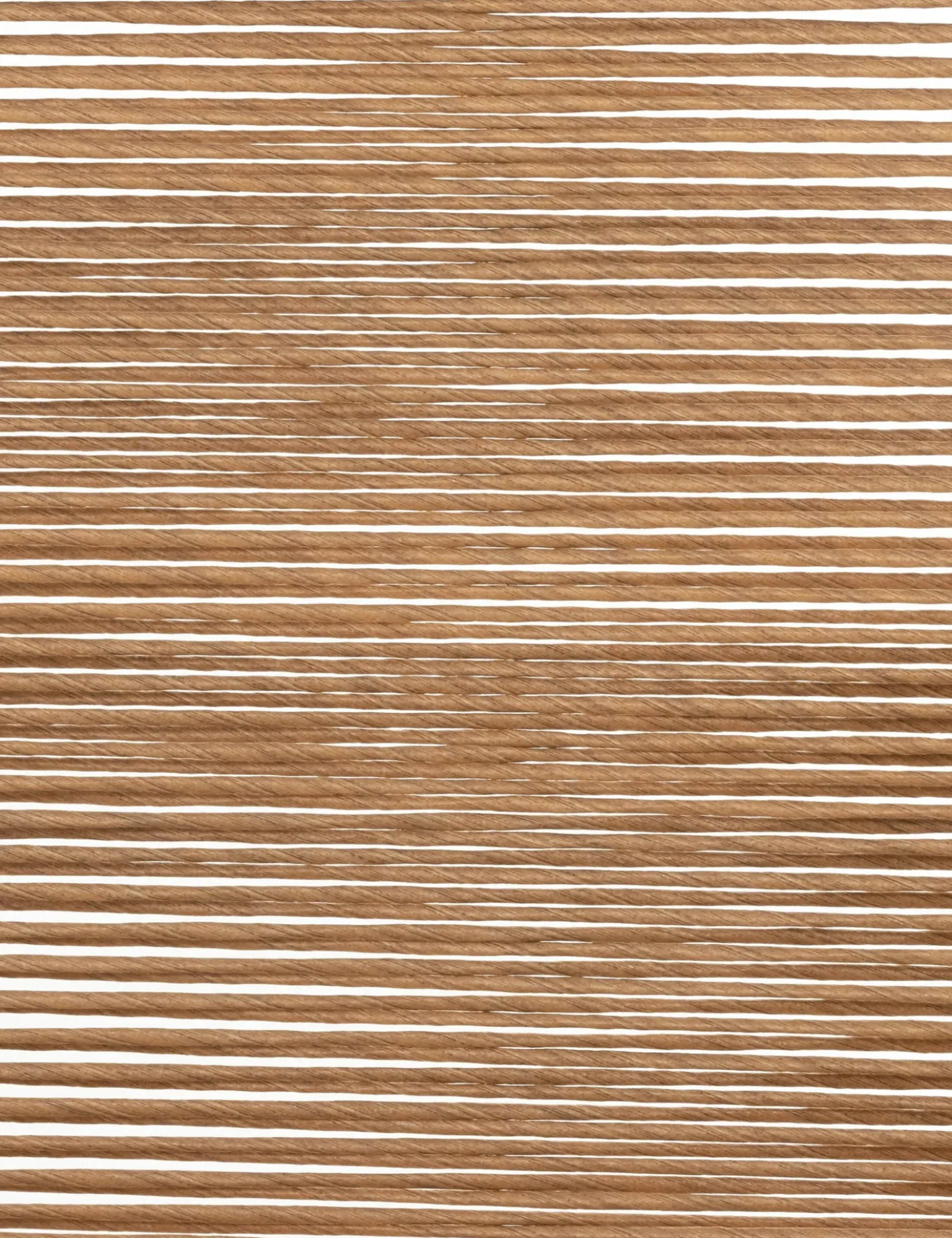 Wally Indoor / Outdoor Dining Chair
