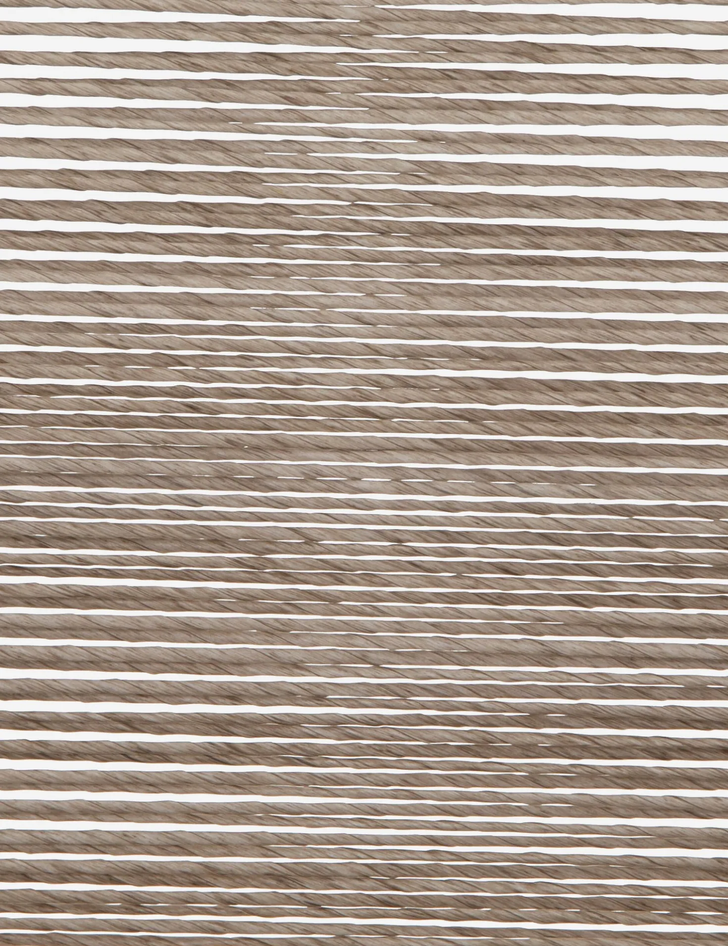 Wally Indoor / Outdoor Dining Chair