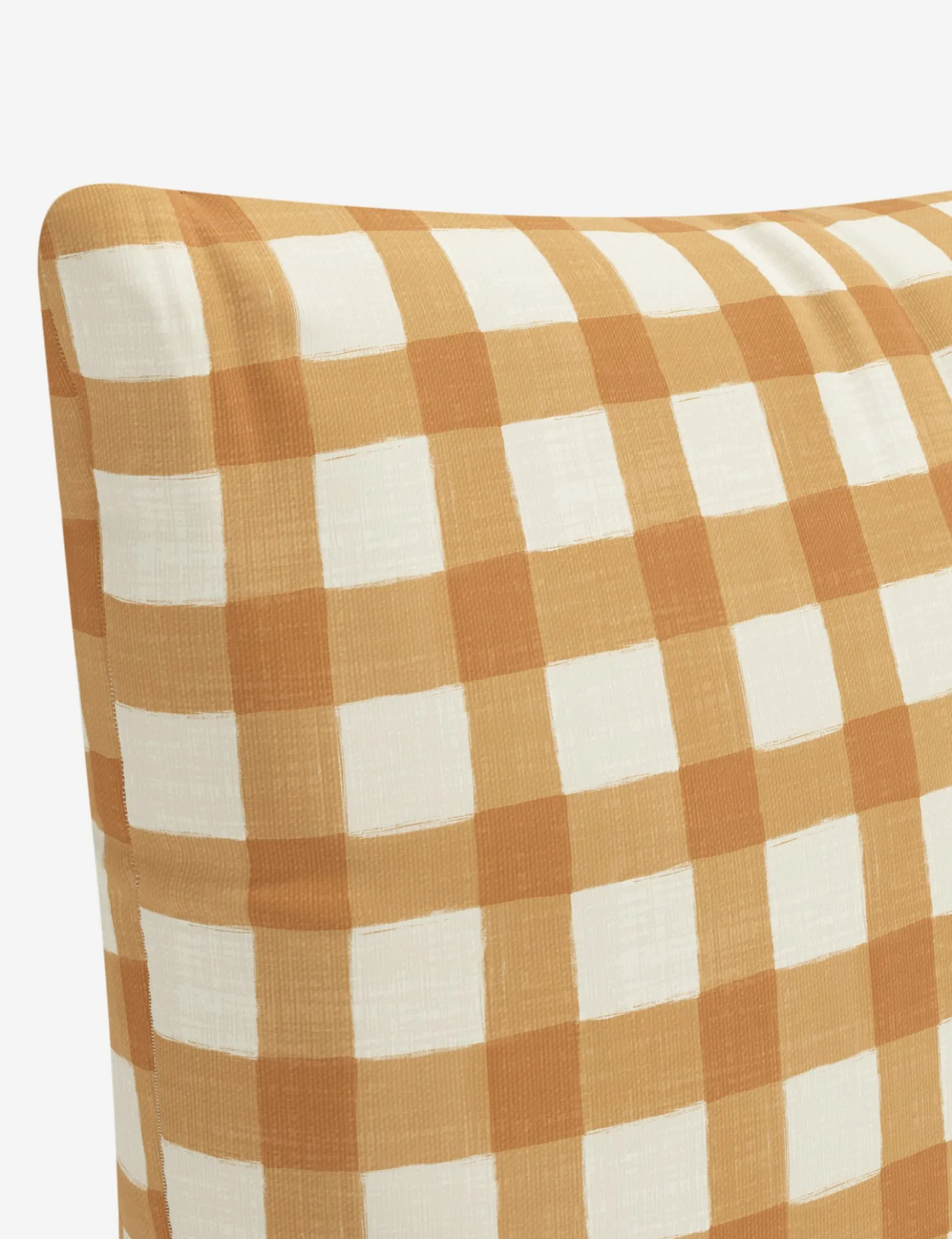 Whitten Indoor / Outdoor Pillow