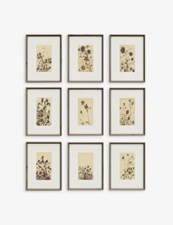 Wild Blooms Wall Art (Set of 9) by Shaina Page