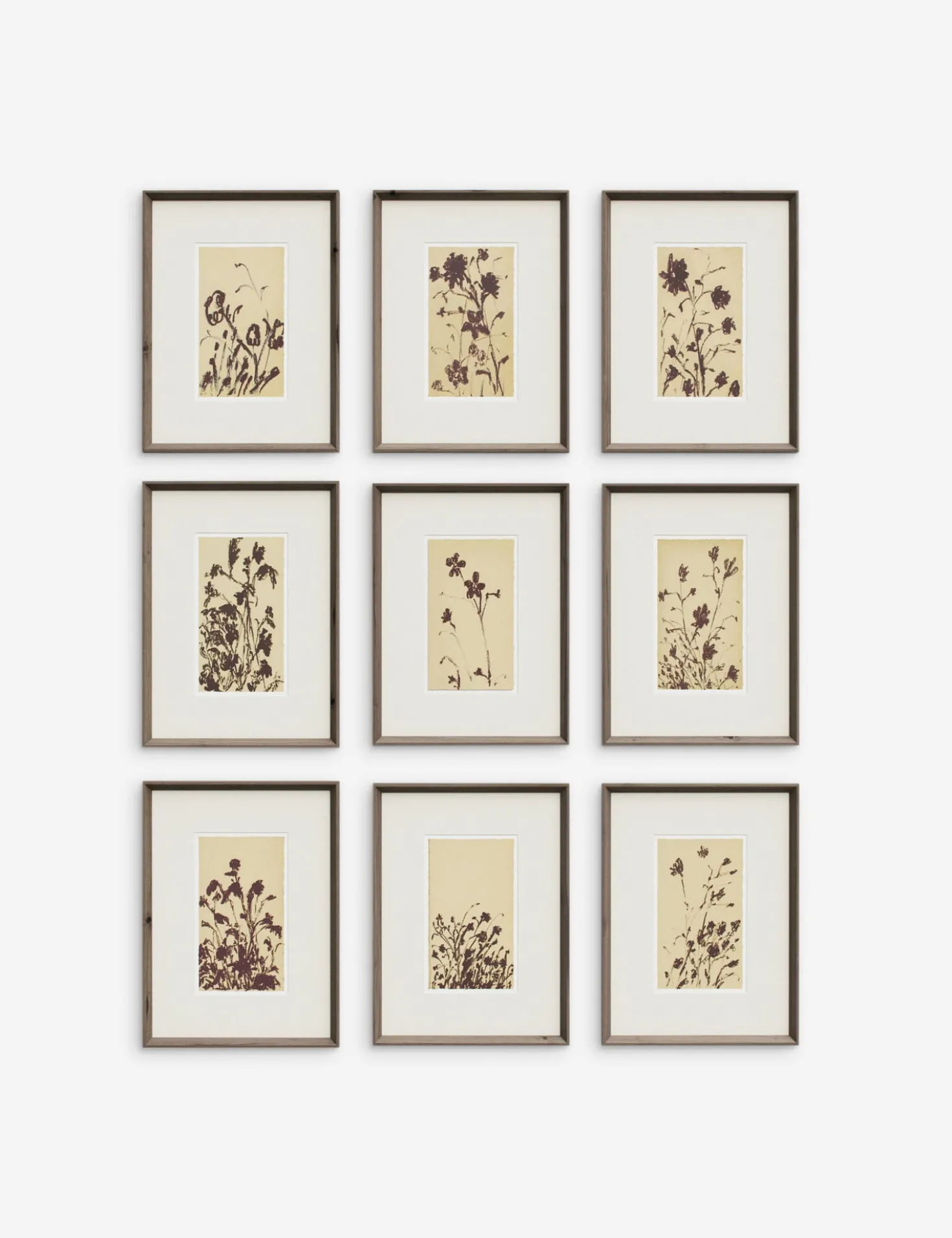 Wild Blooms Wall Art (Set of 9) by Shaina Page
