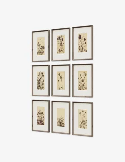 Wild Blooms Wall Art (Set of 9) by Shaina Page