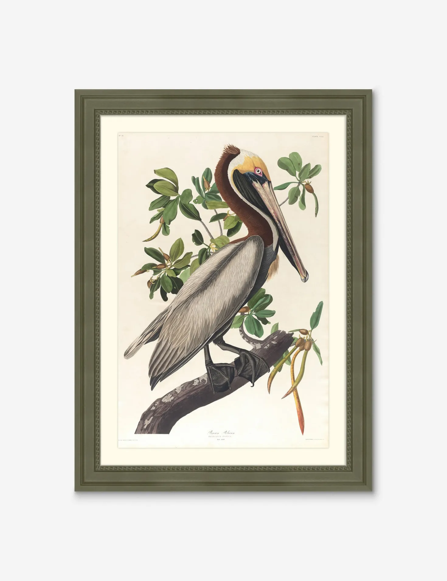 Wings of the Wild I Wall Art by Alex Zane