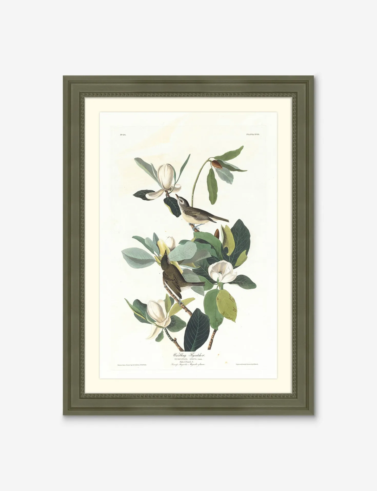 Wings of the Wild II Wall Art by Alex Zane