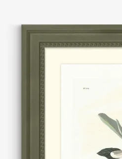 Wings of the Wild II Wall Art by Alex Zane
