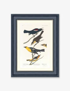 Wings of the Wild IV Wall Art by Alex Zane