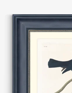 Wings of the Wild IV Wall Art by Alex Zane